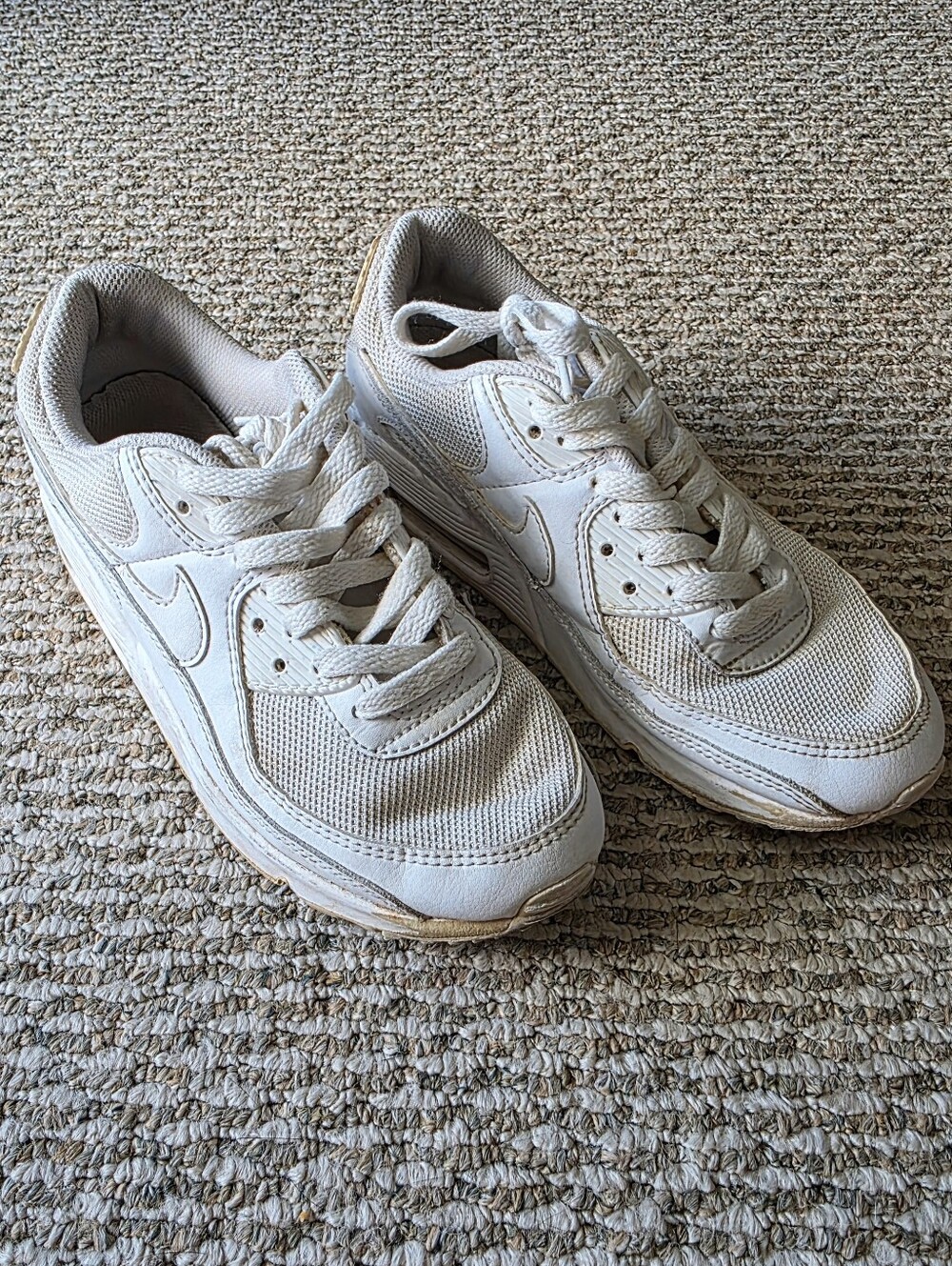 Nike Air Max 90 White Shoes